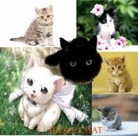 /album/le-blog-de-frost-wind/i-c-jpeg/